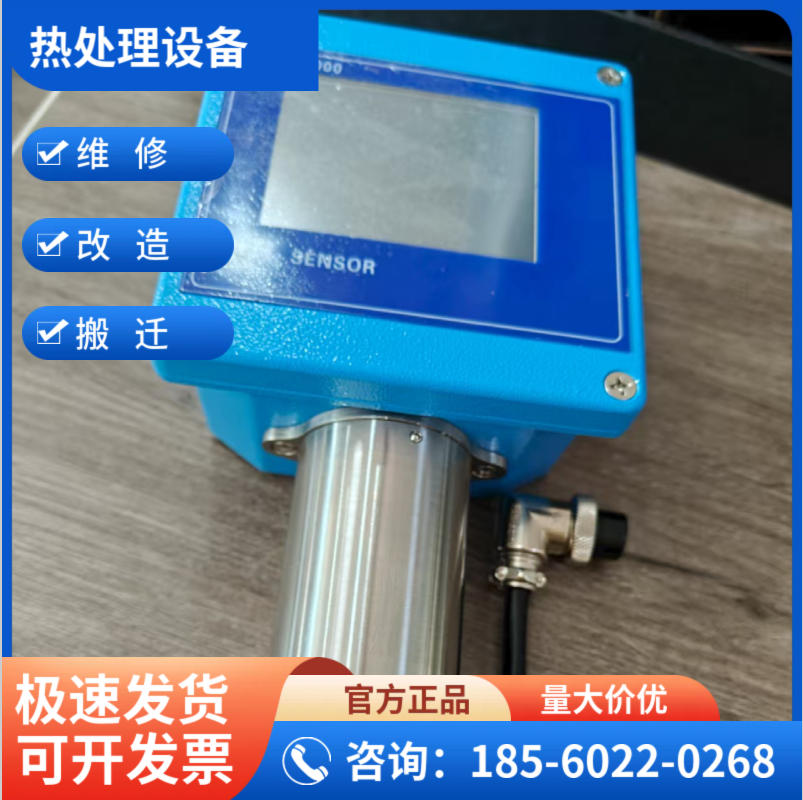 氢探头 氮化炉氢分析仪厂家